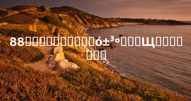 88�������Ѷ��󱳺���Щ��ʵ��