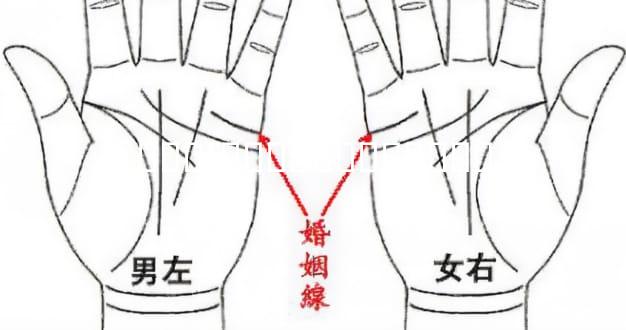 ƽ��ľ�����ڼ������