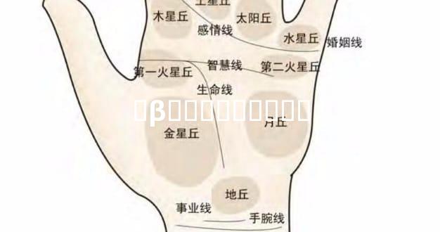 �β���������