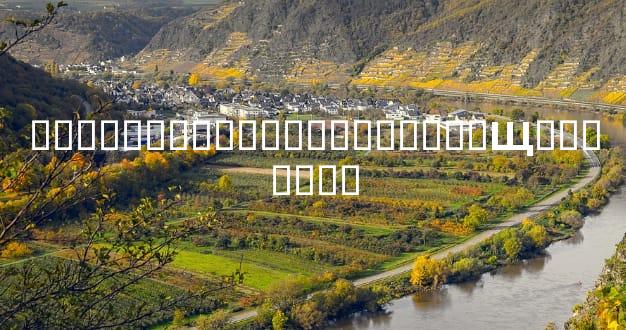 �ϻ������Ѳ��Ա��������Щ��