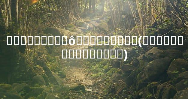 �ٶ�������ô������ͼ��(���˼ٶ�������ͼ��)