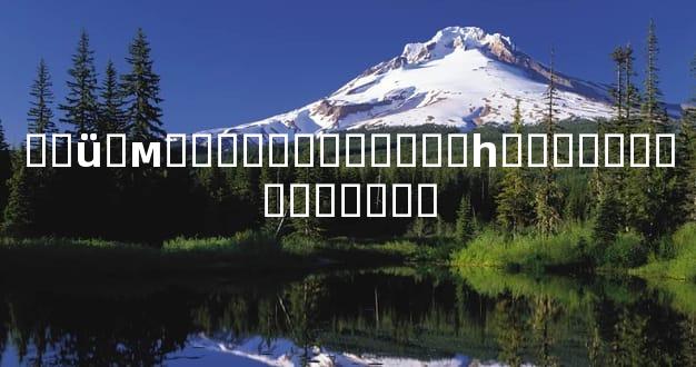 ��ü�м��������Ƶ���һ�������