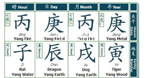 ��ѧ����