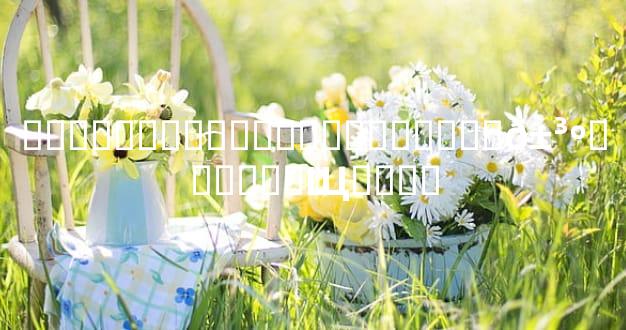 ��Ѳ��Լ���Ե������ֿ�����