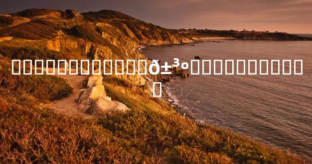 ��Ѳ���Ե�����𱳺��������ѡ