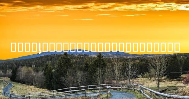 ���Ƶļ������ͼ�������������