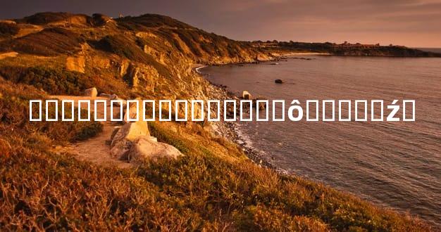 ���̽�����޴�����ʲô������