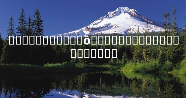 ���쳤������ʲôԢ��ܶ��˶���