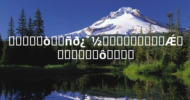 �����ò��ñ𿴽���������Ǽ���