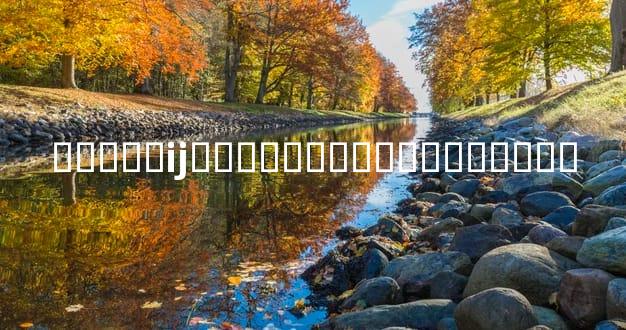 �����ĳ���ԲȦ������������