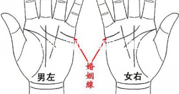 �����Ƶĺ����Ƿ����