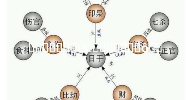 �����Ƶ�Ů��������ô��