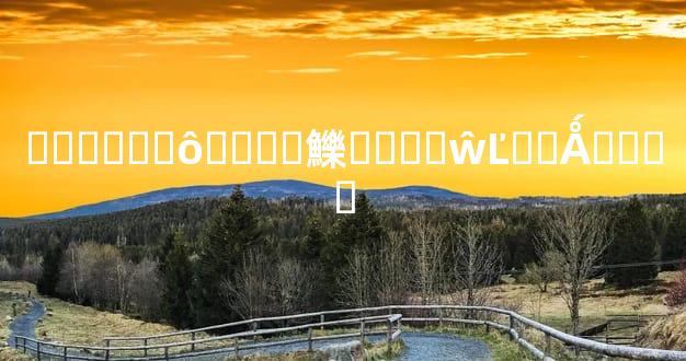 �����ʲôʱ���鱳����ŵĽ�