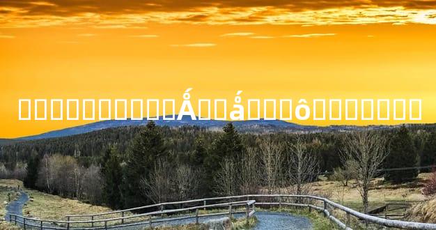 �����ϵ����Ǻ��ǻ���ô�Լ�����