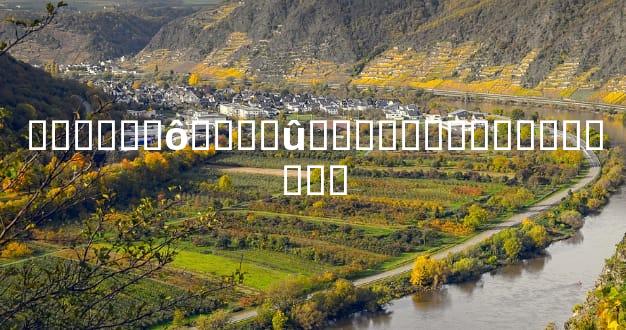 ������ô���˺û��ܶ��˶���֪��