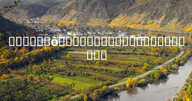 ������ô��������ԭ��ܶ��˶���