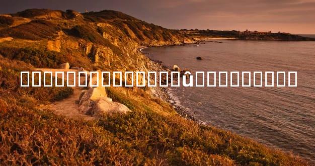 ������ʧ������ծû���������