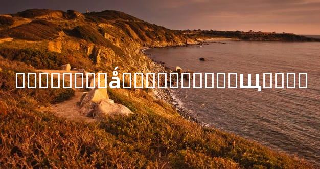 ������ʱ�ǻ����������Щ����