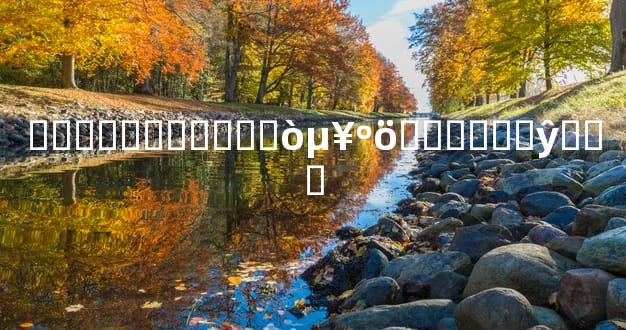 ������ѧ����򵥺ö������ŷ���