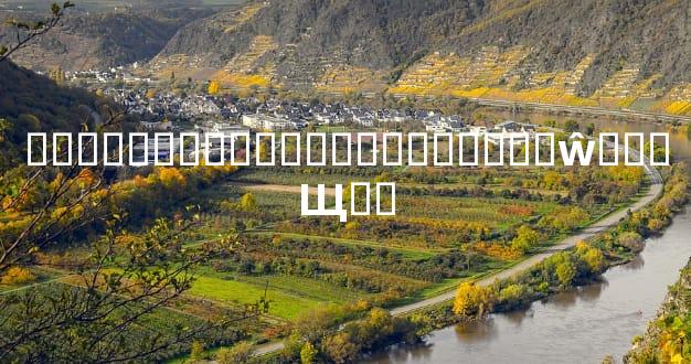 ��������˰��ֺϲ��ϱ�����ŵ�