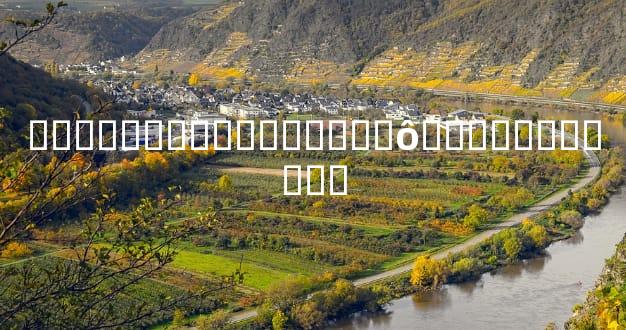 ���������뵽�״���ʲô�ܶ��˶�