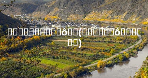 ����������ô��(������ô������)