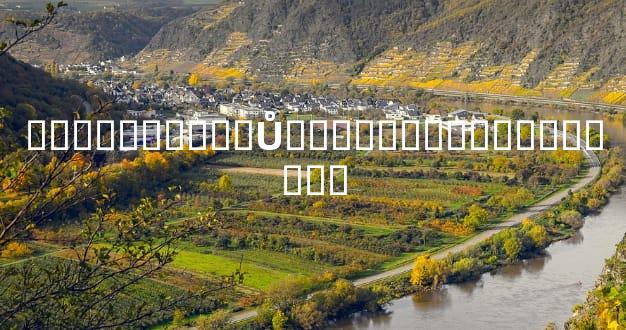 ����������Ů�˵��׿����ֻ�����