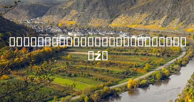 ��������������˻��������ص���