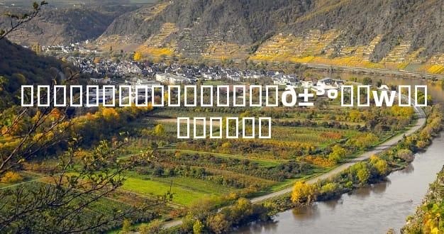 ��������������׼�𱳺��ŵ�˵