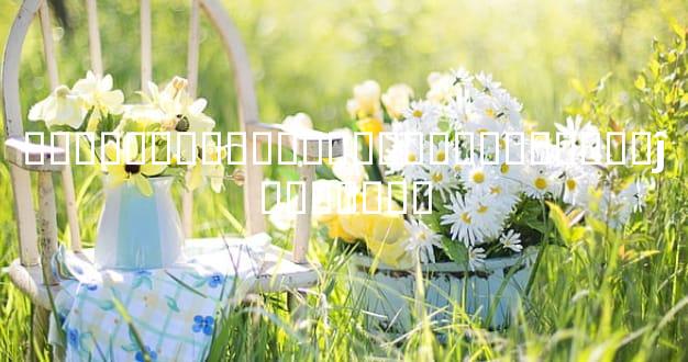 �������������������������ĵ���