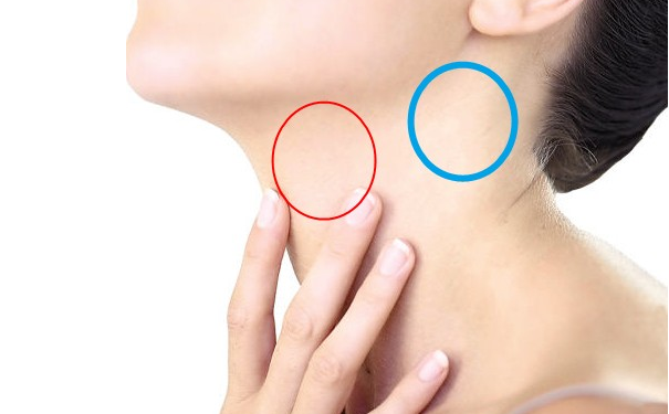 <b>��������ȫ�п��ԴӲ��ӿ�����ʲô��</b>