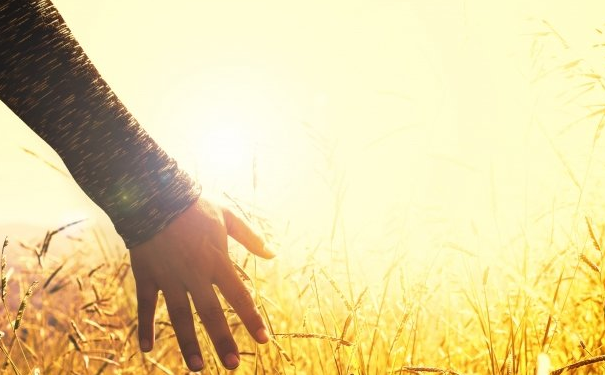 ������ͼ���ȫ��ӵ����������������������ǲ��˺ܺ�