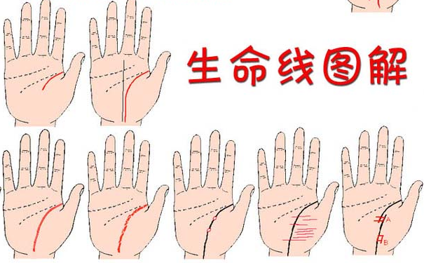 ����ͼ���ȫ�е������߸��Ը�Ĺ�ϵ��֪����