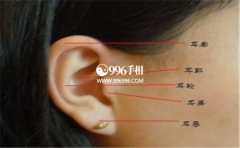 ͨ�����߿����࣬�˽���Щ������û�������ĵ�������������