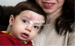 ̥�ǽ�����̥�ǳ��ڲ�ͬλ���ϵ�Ԣ�����