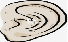 ���俴���࣬���񸣱�һ����֪