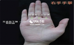 ��˽�����������������������˲����