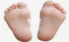 ������������������˽�ϣ���ŵ�����