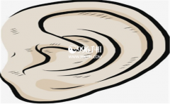 �������������Ҫ�˽�Ķ����ˮ