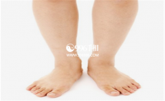 ���������ȫ��������������