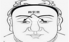 ˫�����Ǽ�������ʦ��Ϊ�������ϸ�ķֽ�
