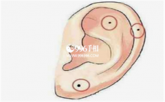 <b>�������룬�Ǻ��ǻ�����ʦ����Ϊ����зֽ�</b>