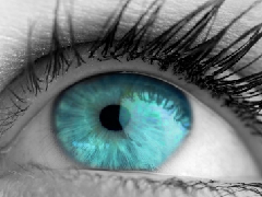 ��������ȫ��ӵ���������͵������ܺ�