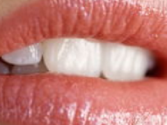 ������ȫ֮�촽����