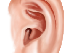 ��������ȫ��ָ��ӵ����������������и�����