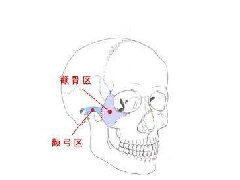 ȧ����ʲô���ࣿ���ǵ����ƺ���