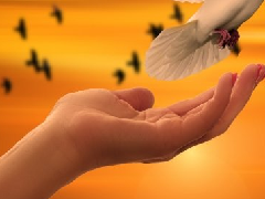 ������ͼ���ȫ��ӵ���������������������ܲ��Ҹ�