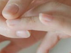 ������ȫ���������Ǹ���������ƶ����