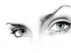 ������ȫ�������ʶ��