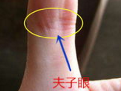 ������ͼ���ȫ������������������ĳ��ܺ�